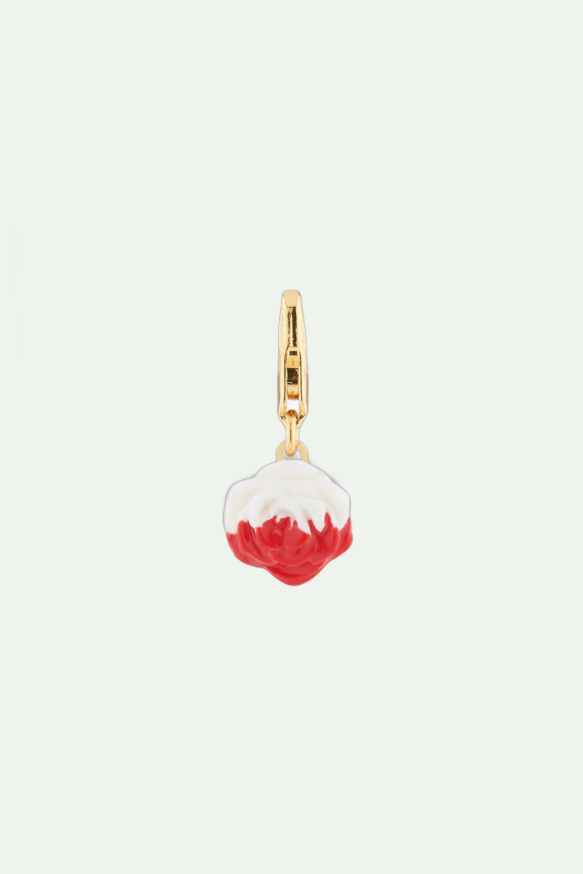 Charm's fleur bicolore