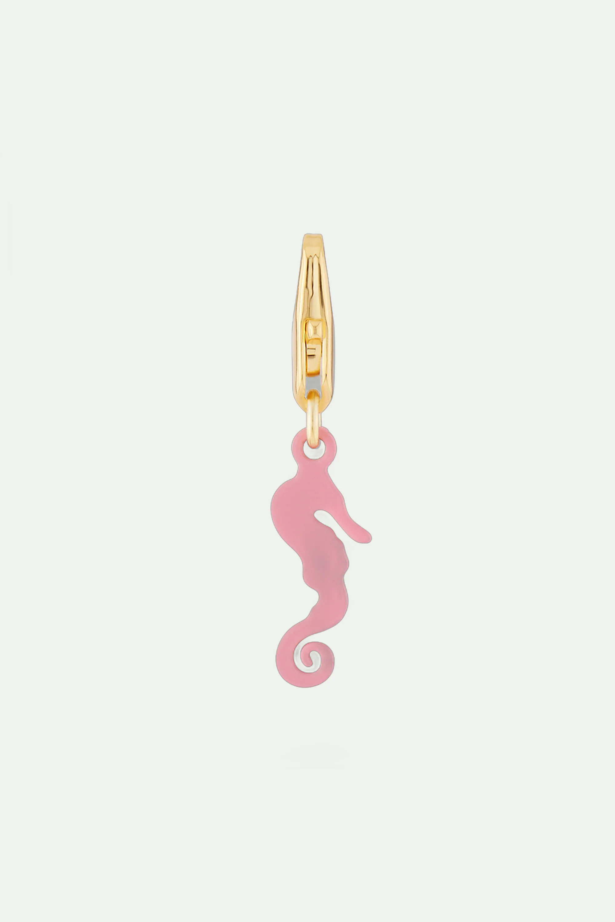 Charm's hippocampe rose