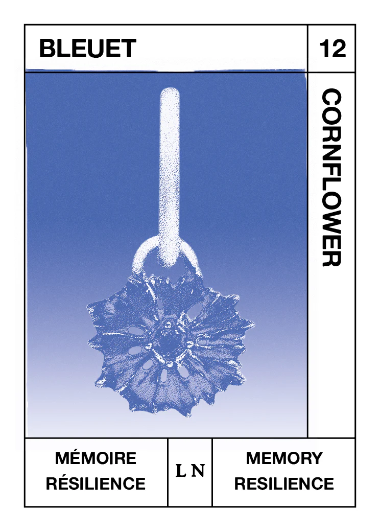 Pendentif Bleuet, Mémoire et Résilience - Décembre - Image 2