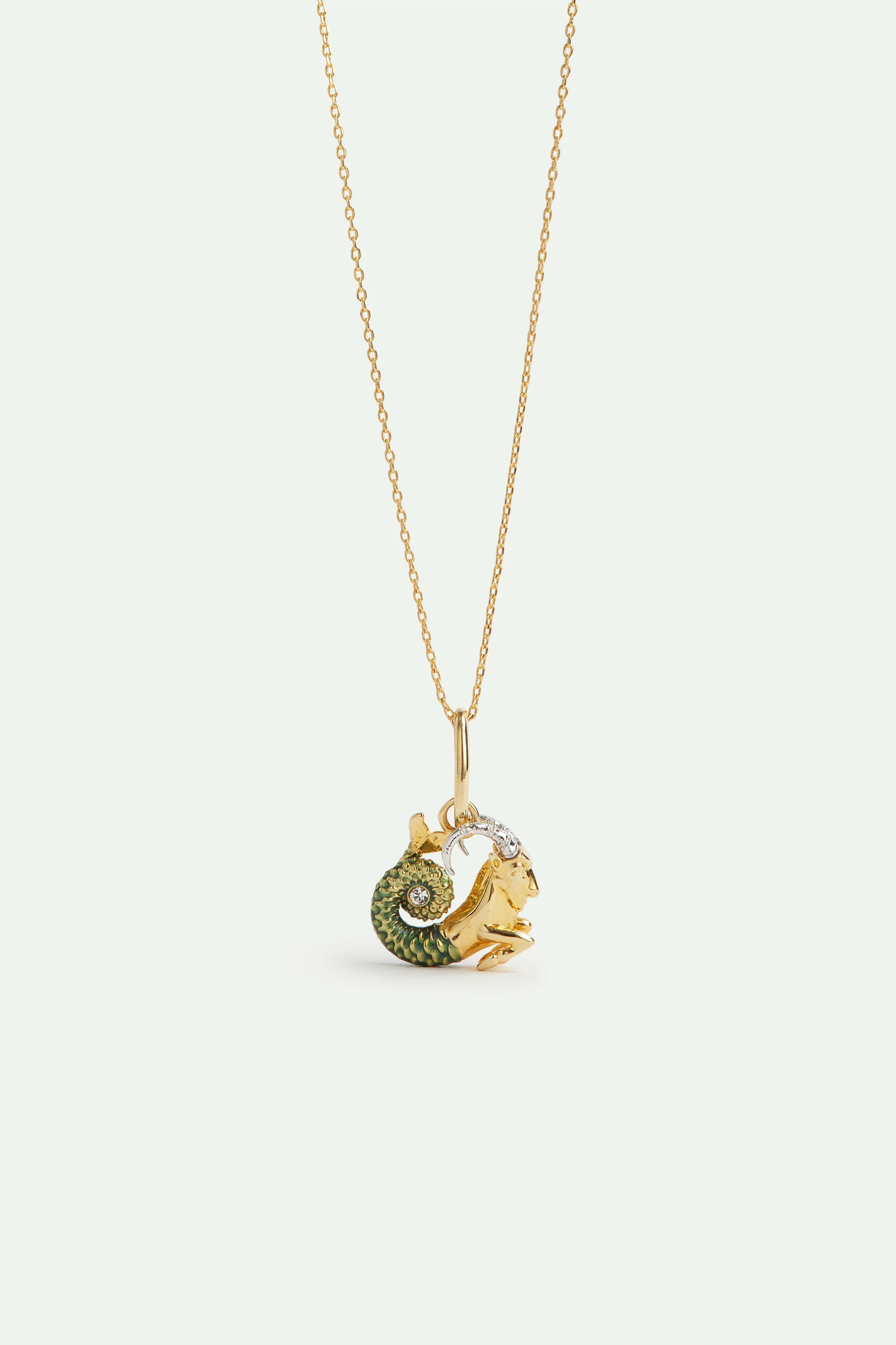 Pendentif Capricorne, Rassemblement et Gaieté - Image 3