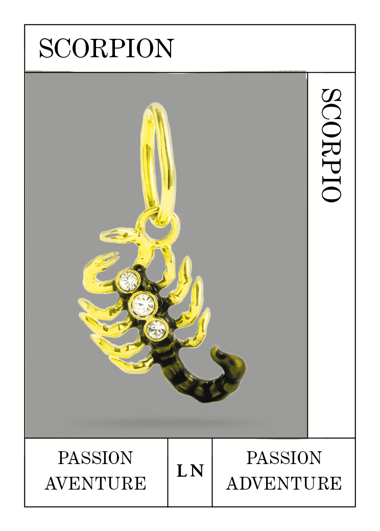 Pendentif Scorpion, Passion et Aventure - Image 2