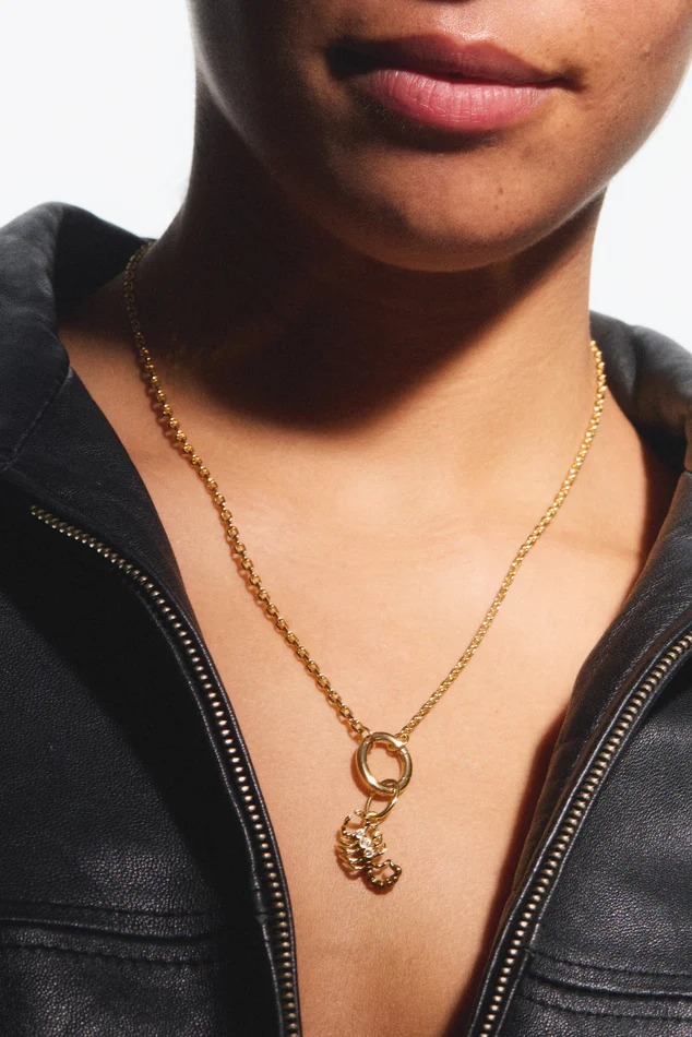Pendentif Scorpion, Passion et Aventure - Image 4