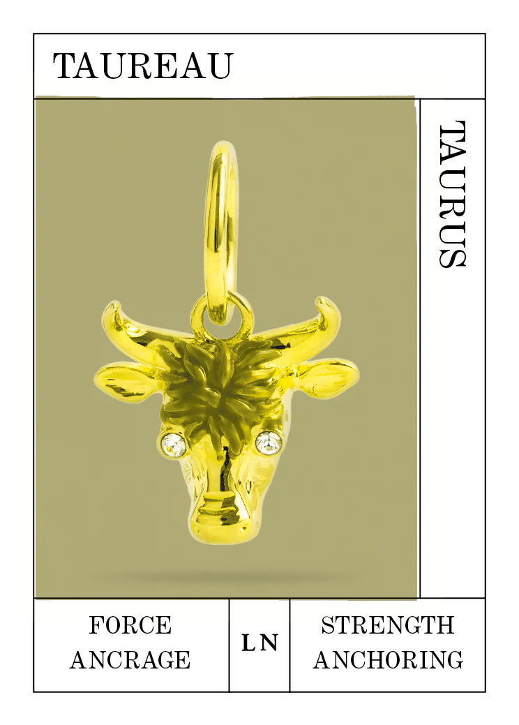 Pendentif Taureau, Force et Ancrage - Image 2