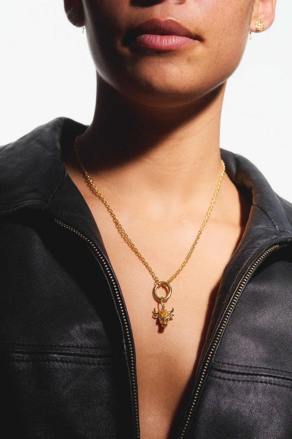 Pendentif Taureau, Force et Ancrage - Image 4